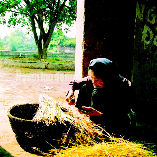 THƯƠNG MẸ